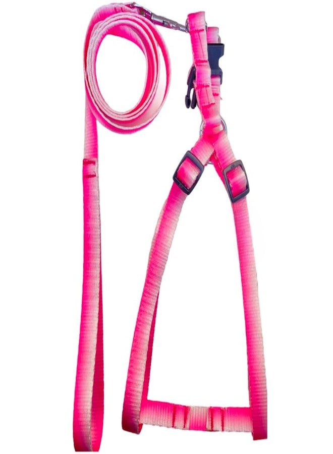 KittuPet Dog Harness and Leash Set, Cute Dog Harness with Leash for Small, Medium and Large Dogs, Girl Female and Boy Dog Harness, Pink White - Harness Set, M - Image 1